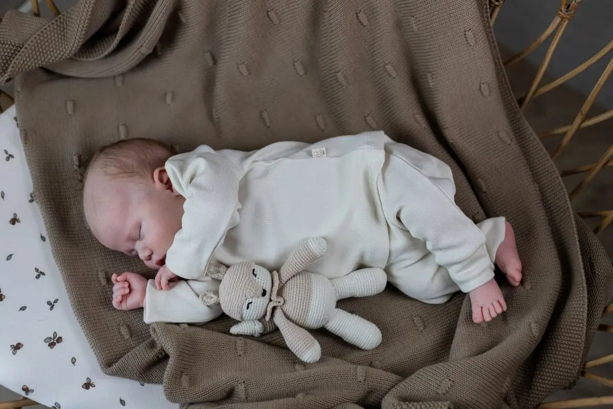 Babypakje Wolf (No Ruffles) - Moalie