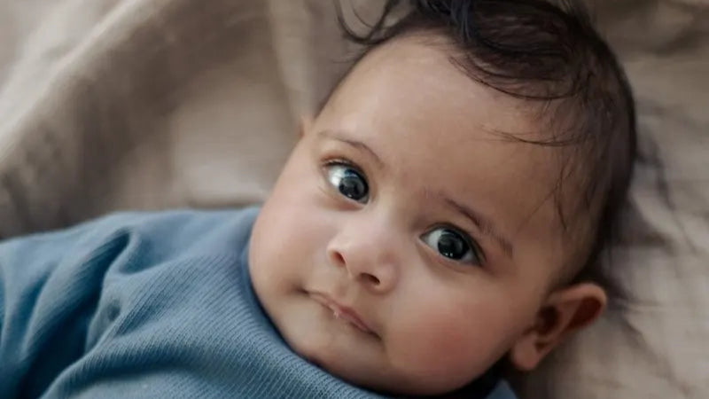 Knitted Sweater Denim - Moalie