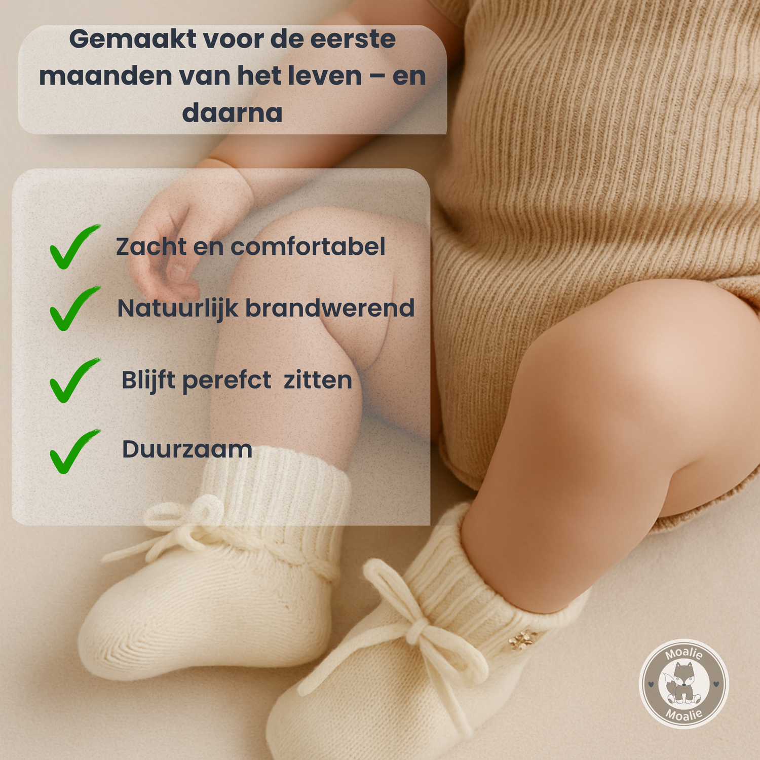 plus punten merinowol