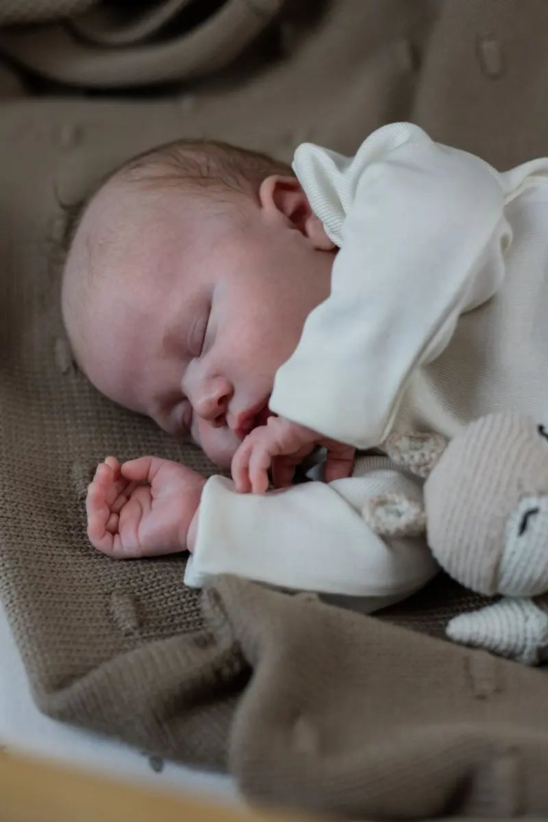 Babypakje Wolf (No Ruffles) - Moalie