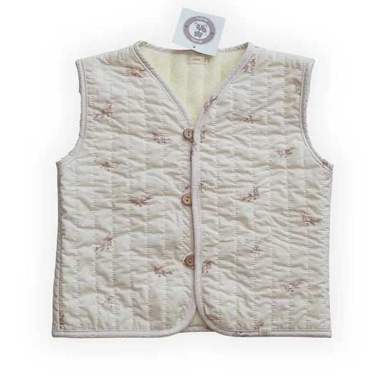 Gilet Planes
