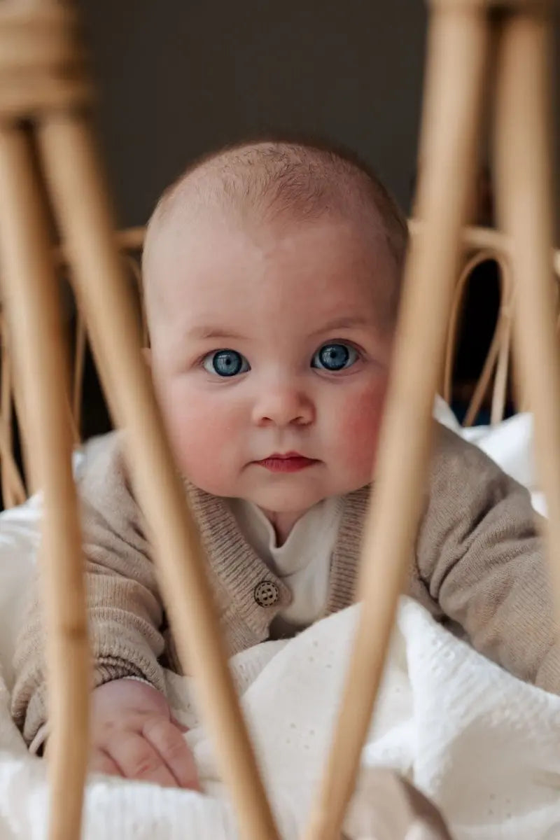 Strickjacke Lou - Moalie