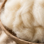 close up Heilwol uit Nederland 