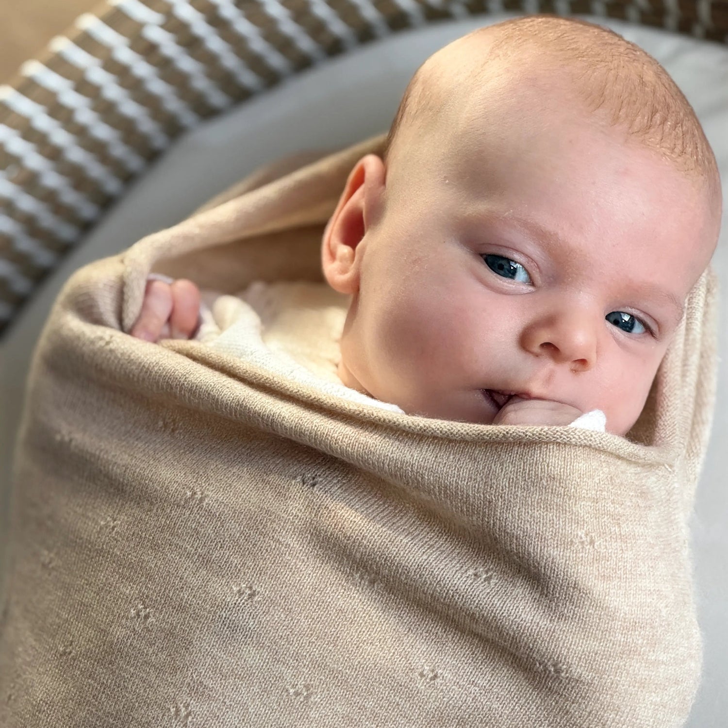baby in pointelle baby cocoon Snuggle Coco van beige merinowol
